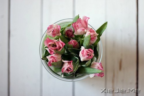 一个人怕孤独，两个人怕辜负 (2)