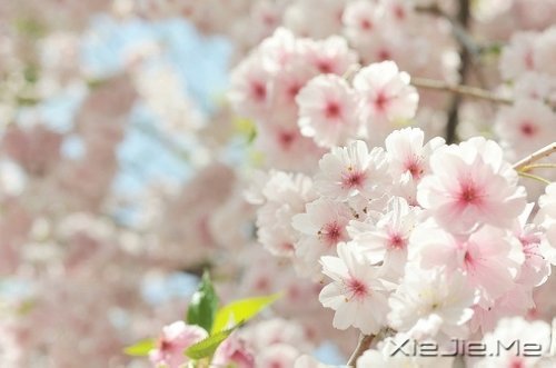 一个人怕孤独，两个人怕辜负 (3)