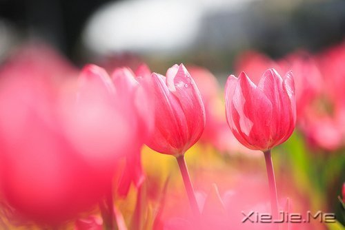 一个人怕孤独，两个人怕辜负 (4)