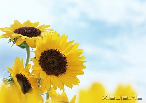 经过人生的荒凉，才能抵达内心的繁华 (1)