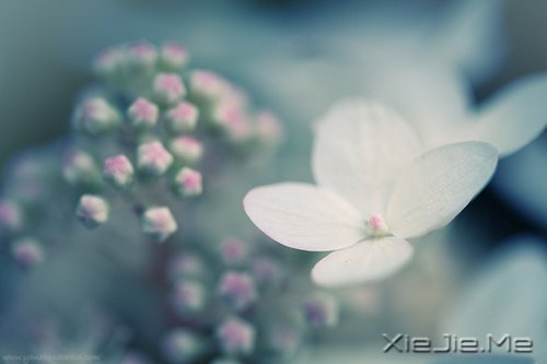 经过人生的荒凉，才能抵达内心的繁华 (3)