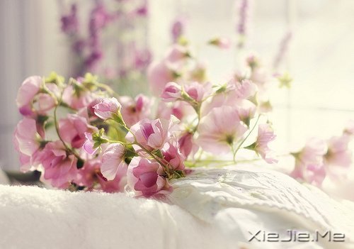 经过人生的荒凉，才能抵达内心的繁华 (7)