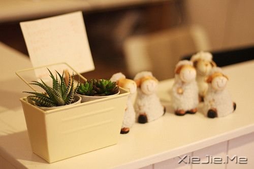 晚安心语：陪伴与懂得，比爱情更加重要 (7)