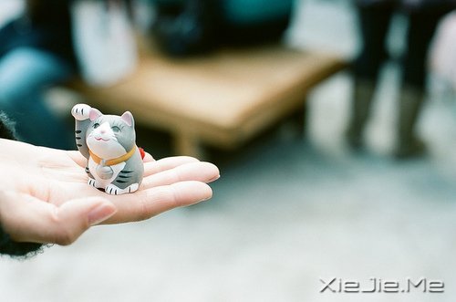晚安心语：清澈不在远方，而在心底 (9)