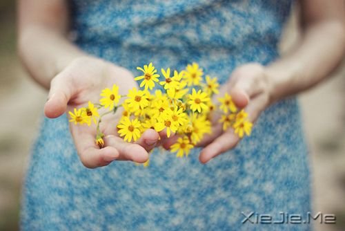 晚安心语：你不懂我的沉默，又怎么会懂我的难过 (1)