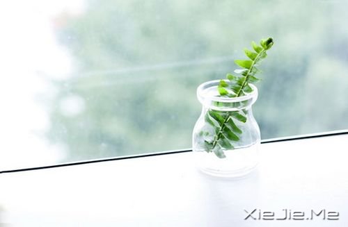 早安心语：没有人能给你光明，除了你自己 (10)