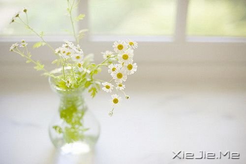 小清新图片 (3)
