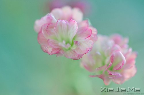 20～30岁，我拿十年做什么