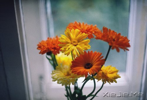 职场法则：职场新人要注意的20个小细节