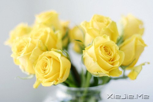 经典语录：只要适合自己，就是幸福 (1)