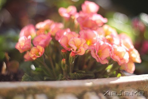 经典语录：只要适合自己，就是幸福 (2)