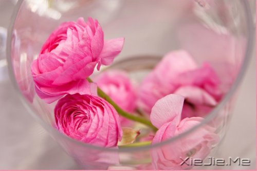 经典语录：只要适合自己，就是幸福 (7)