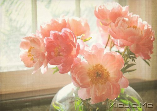 经典语录：只要适合自己，就是幸福 (10)