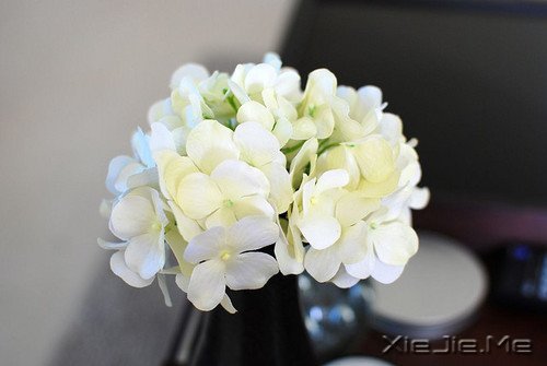 文字：爱这个东西是一次性的