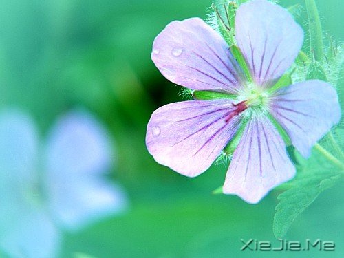 把时间花在进步上，而不是抱怨上