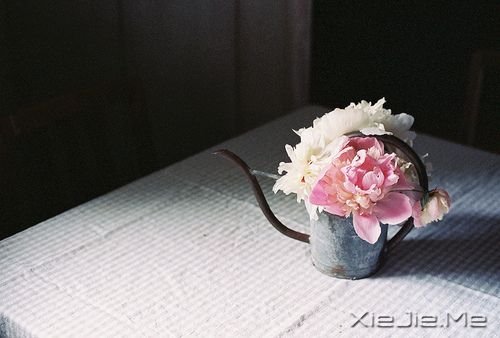 治愈系图片 (1)