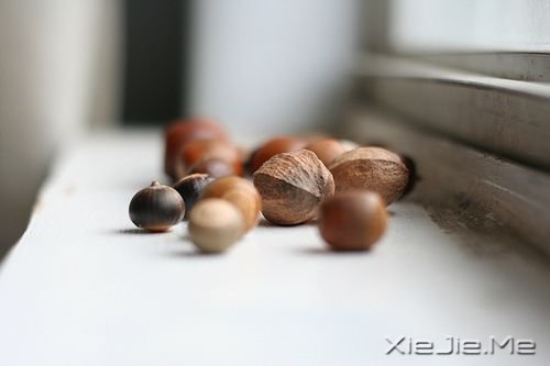 治愈系图片 (4)