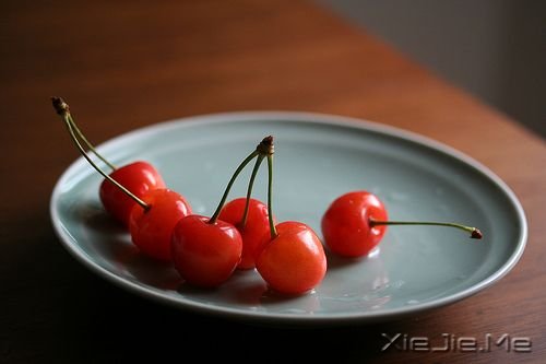 治愈系图片 (6)